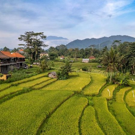 Ume Dukuh Home Sidemen Sidemen  Ngoại thất bức ảnh