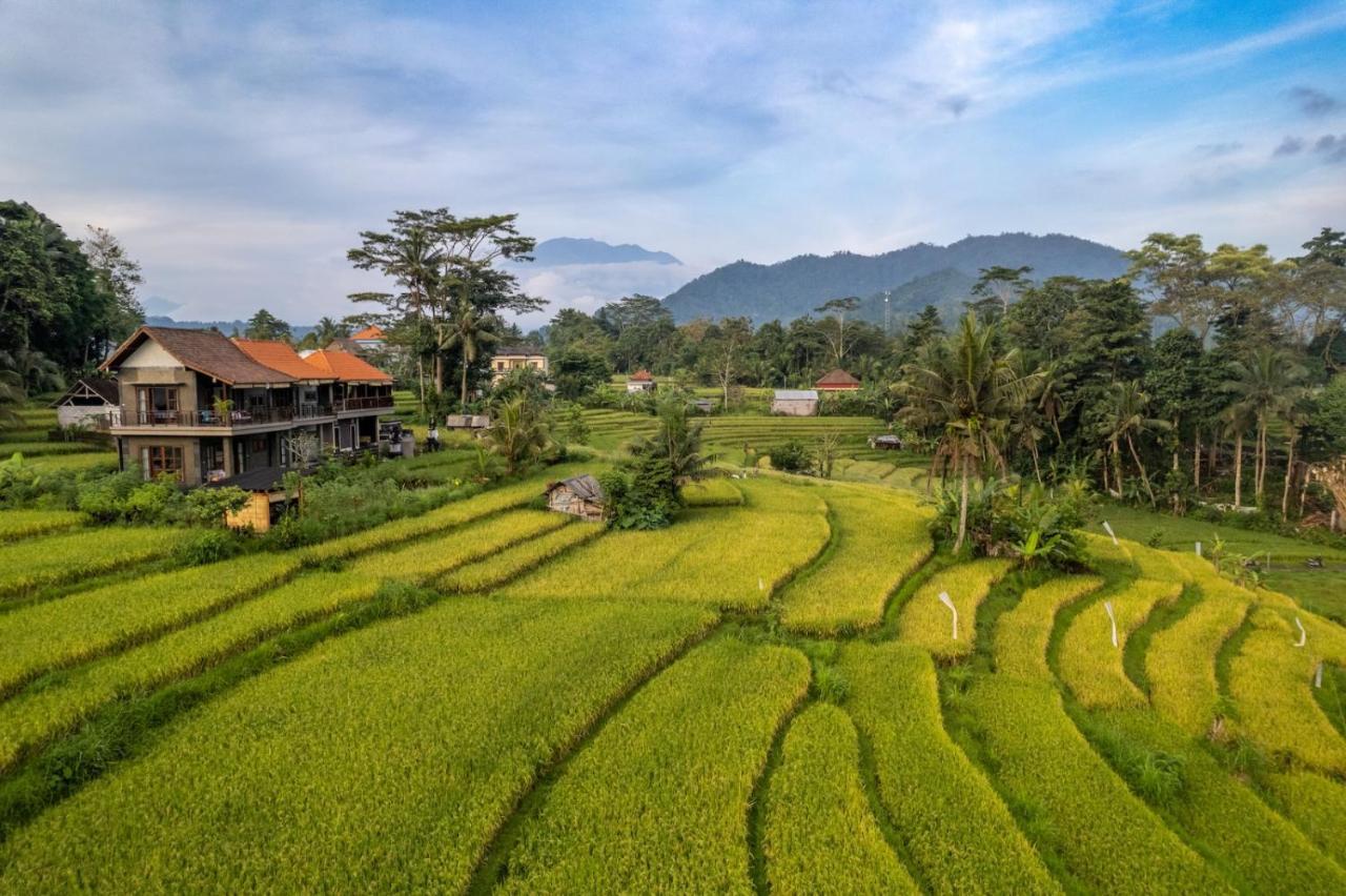 Ume Dukuh Home Sidemen Sidemen  Ngoại thất bức ảnh