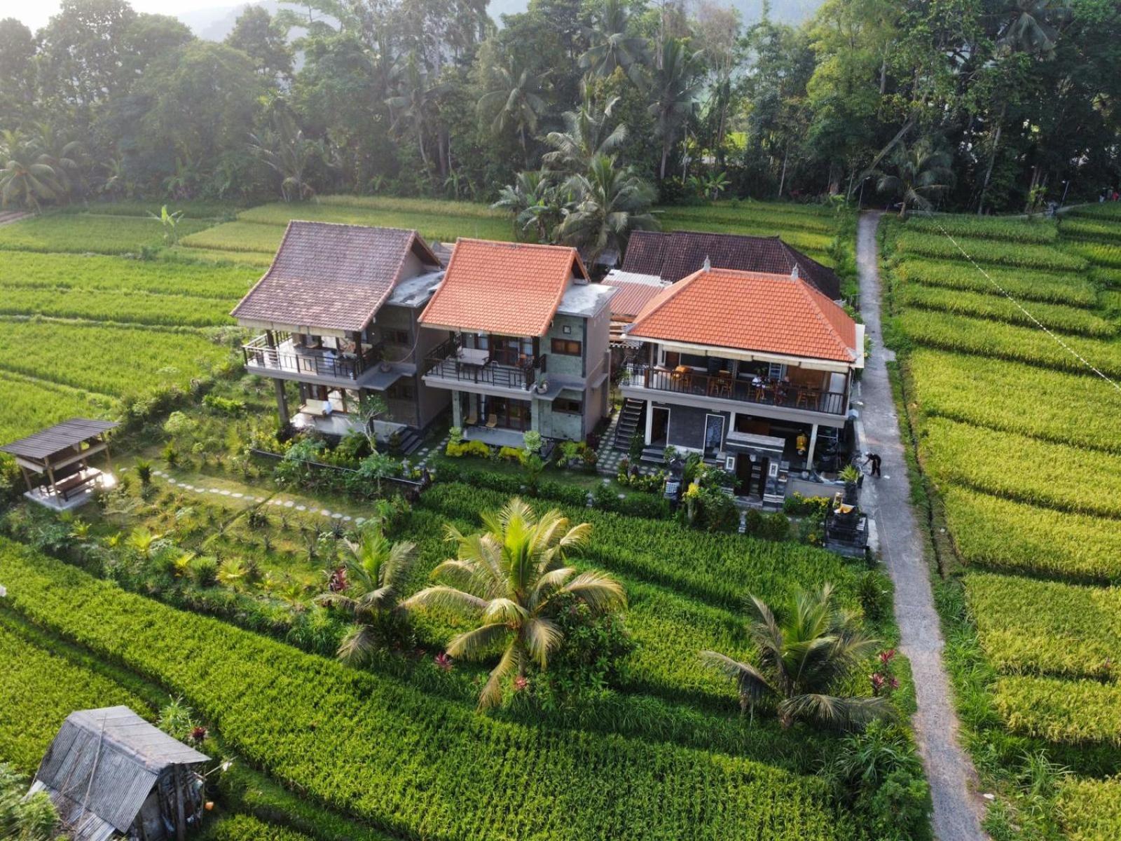 Ume Dukuh Home Sidemen Sidemen  Ngoại thất bức ảnh
